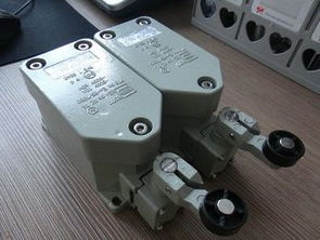 BZX51 D滾輪單搖臂式防爆限位開關(guān) 工業(yè)安全的關(guān)鍵傳感器